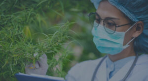 Testimonials from marijuana patients