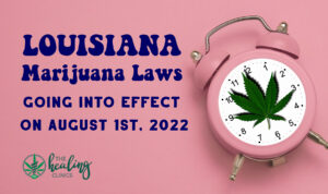 Louisiana Marijuana Laws 2022