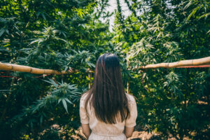 What Conditions does Marijuana Treat