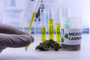 Medical marijuana research