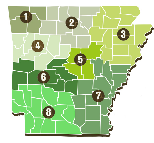 Arkansas Dispensaries