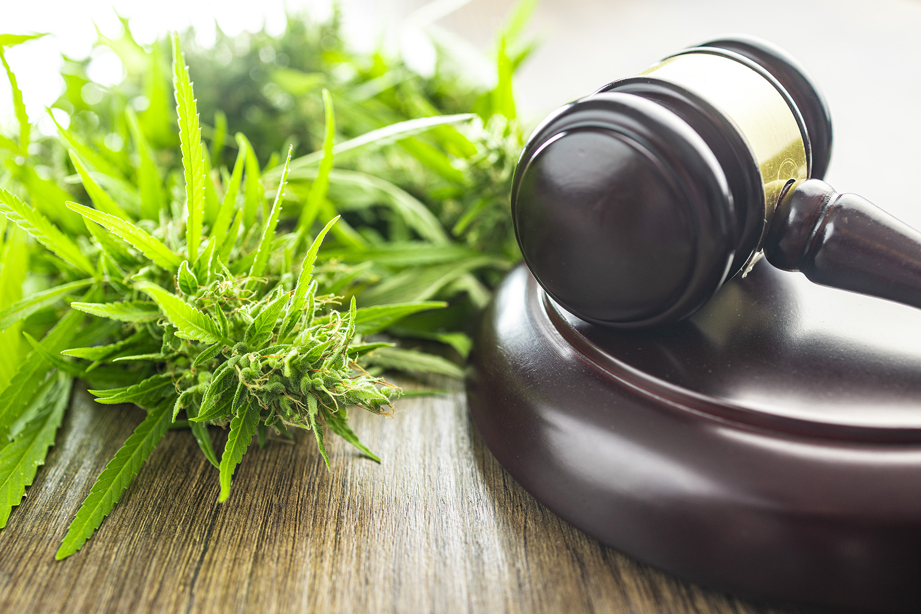 marijuana possession arrests in Texas and Louisiana